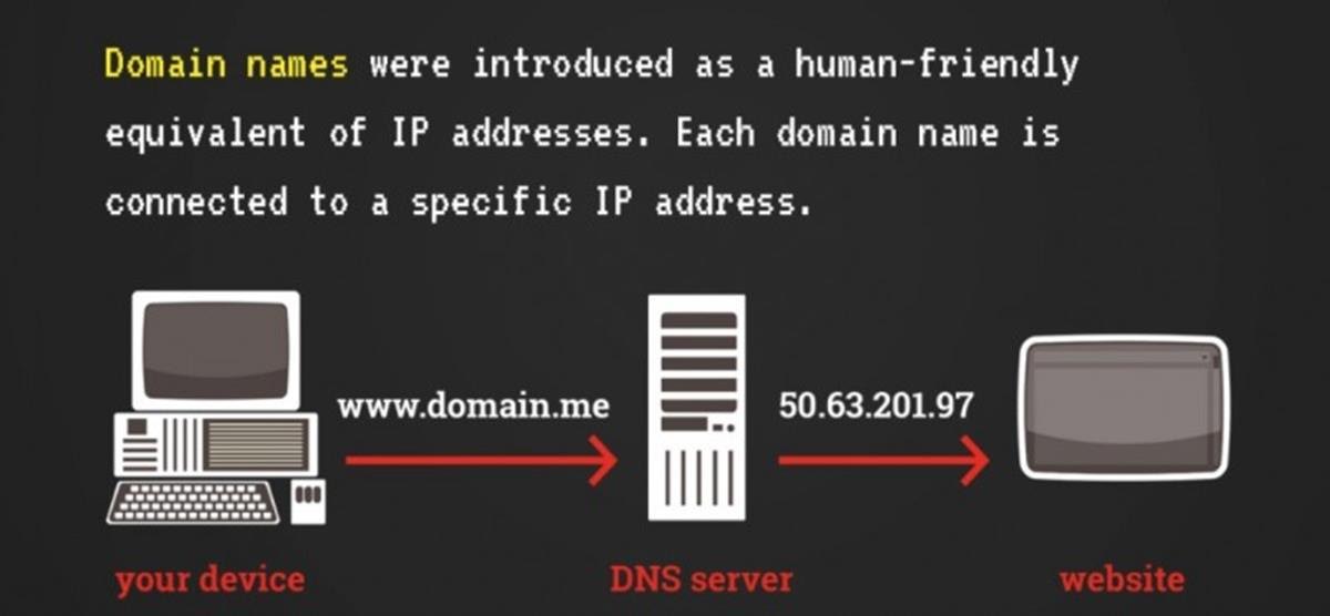 dns